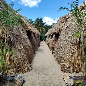  Camping Hakuna Matata Glamping